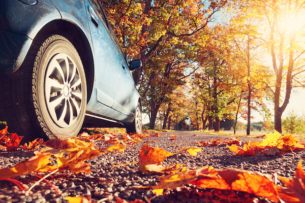 Give Your BMW or MINI Proper Care This Fall!
