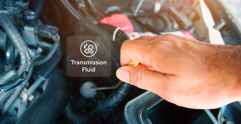 MINI Transmission Fluid Check