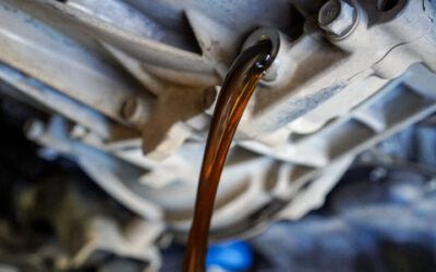 Why Florida Driving Conditions Make MINI Fluid Services Important