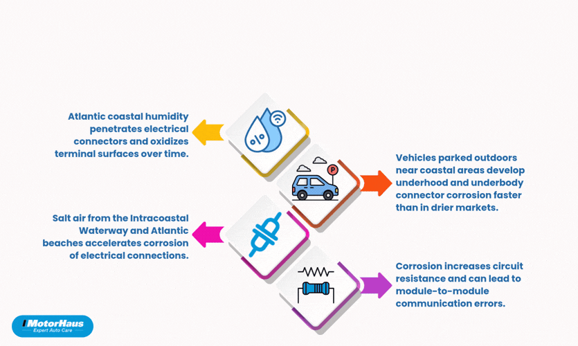 How Does West Palm Beach’s Coastal Environment Create Mercedes Electrical Issues
